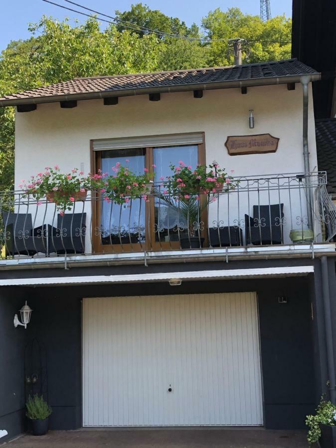 شقة ميتلاخ  في Haus Monika In Saarholzbach المظهر الخارجي الصورة